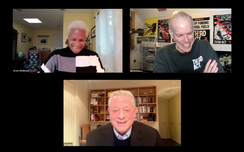 Screen grab from Al Gore all-in call